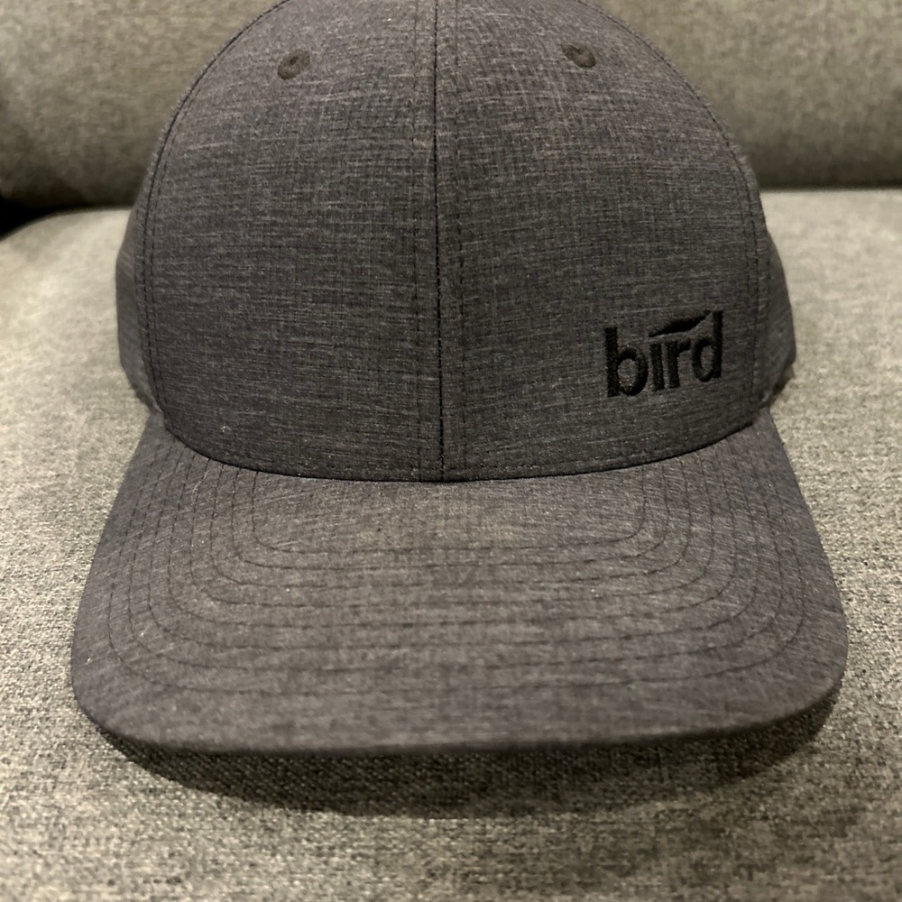 Bird construction hat